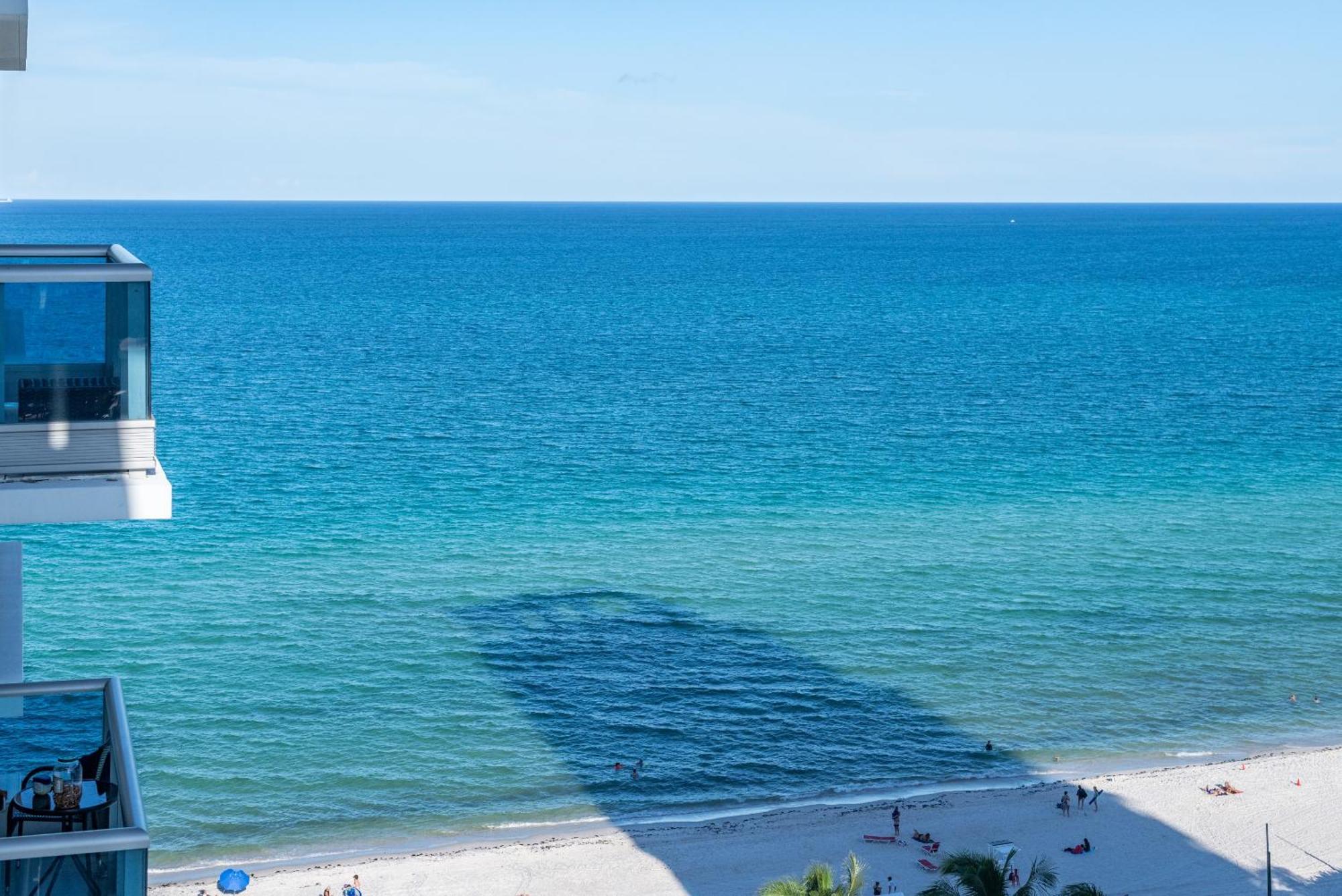 Bluebird Suites Monte Carlo Miami Beach Quarto foto